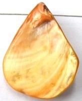 Schelphanger ca30mm druppelvorm oranjegeel 5st