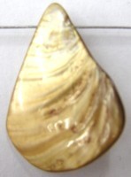 Schelphanger ca30mm druppelvorm goudgeel 5st