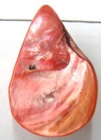 Schelphanger ca30mm druppelvorm oranjeroodp.st
