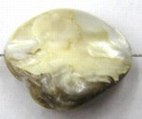 Schelpkraal 15-20mm naturel p.st