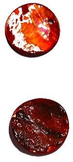 Schelphanger 15mm rond oranje 10st