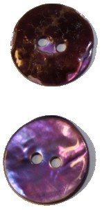 Schelpknoop 15mm lila 6 stuks