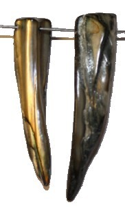Schelpkraal  25-5mm tandvorm parelmoergrijs 7st