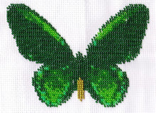 Borduurpakket vlinder groen/zwart 11x16cm