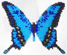 Borduupakket vlinder blauw 13x15cm