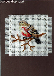 Borduurpakket vogeltje 7x7cm