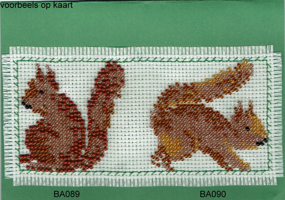 Borduurpakket eekhoorntje 7x7cm