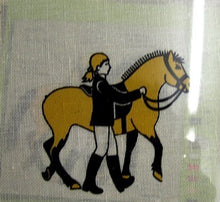 Borduurpakket Paard leiden""