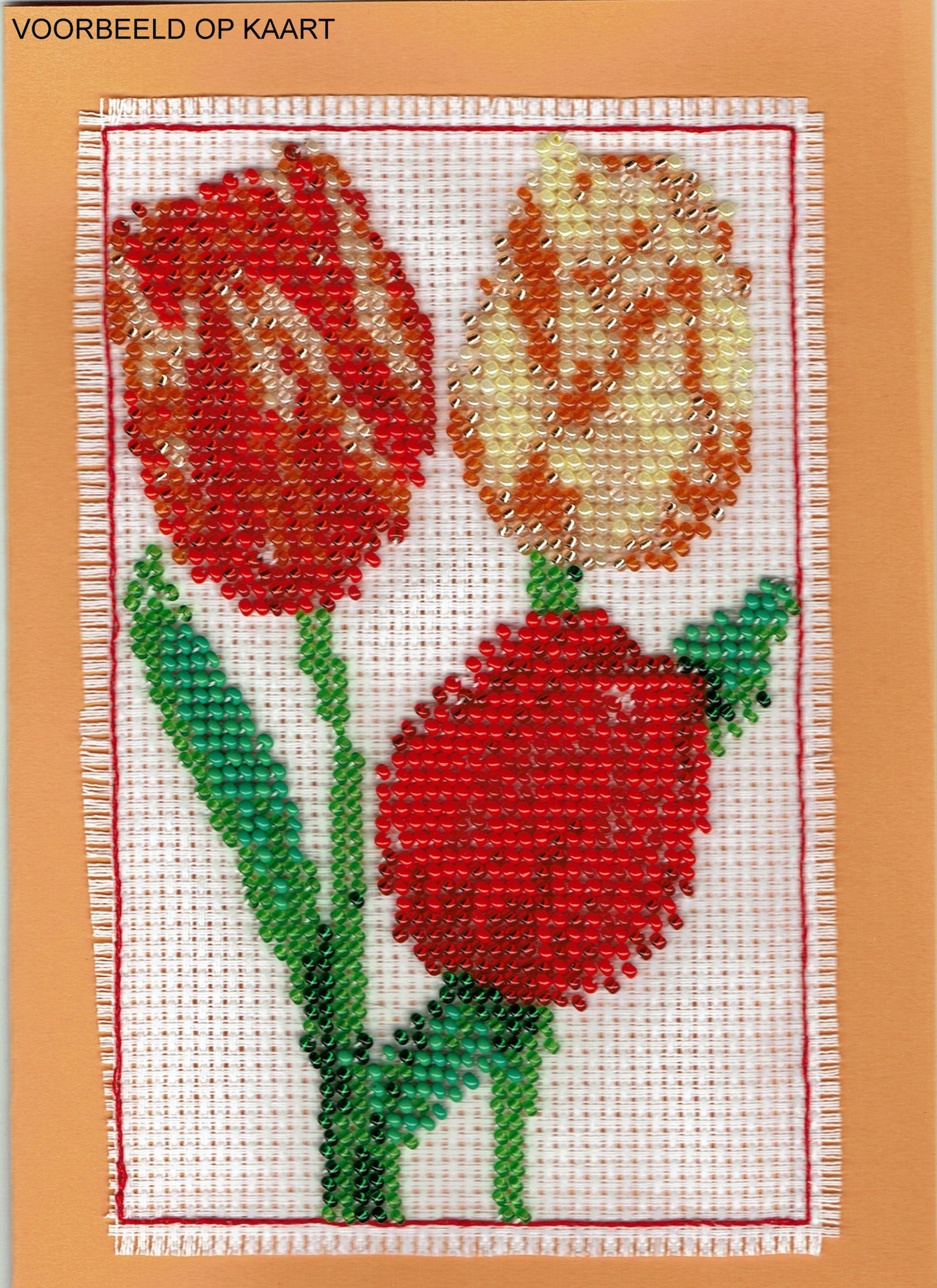 Borduurpakket Tulpen 10x15cm.