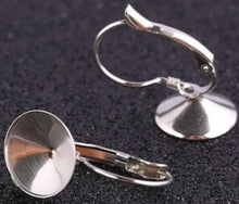 Oorhanger voor 12mm rivoli zkl. pp