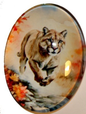 Cabochon 30x40mm Dieren