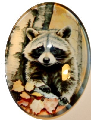 Cabochon 30x40mm Dieren