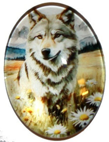 Cabochon 30x40mm Dieren