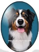 cabochon 30x40mm honden foto's