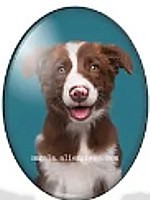 cabochon 30x40mm honden foto's