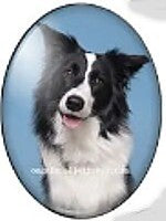 cabochon 30x40mm honden foto's