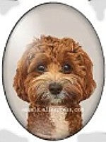cabochon 30x40mm honden foto's