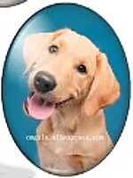 cabochon 30x40mm honden foto's