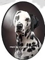 cabochon 30x40mm honden foto's