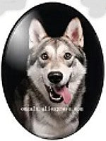 cabochon 30x40mm honden foto's