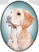 cabochon 30x40mm honden foto's