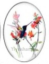 Cabochon 18x25mm vogels