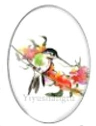 Cabochon 18x25mm vogels