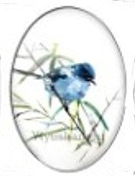 Cabochon 18x25mm vogels