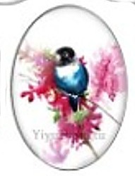 Cabochon 18x25mm vogels