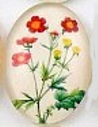 Cabochon 18x25mm bloemen