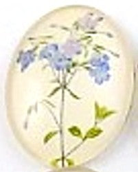 Cabochon 18x25mm bloemen
