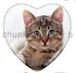 Cabochon 25mm hartvorm katten foto