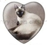 Cabochon 25mm hartvorm katten foto