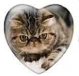 Cabochon 25mm hartvorm katten foto