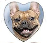 Cabochon 25mm hartvorm honden foto