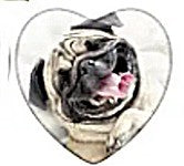Cabochon 25mm hartvorm honden foto