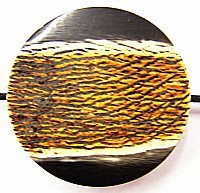 hoornen kraal 26mm p.st