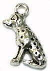 Bedel hond dalmatier 2st