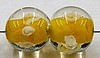 glaskr. 11mm tr. oranje witte bloemen 10st