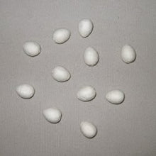 Wattenei 24 mm 3 st