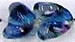 Glaskraal 10mm fantasie transp/turkoois 10st.