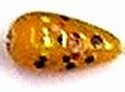 Glaskraal druppel 18mm oranje met spikkels 5st