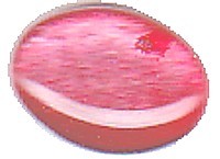 glascabochon18x13mm bordaeuxrood 5 stuks
