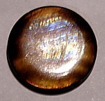 Schelpkraal 25mm rond goudbruin p.st